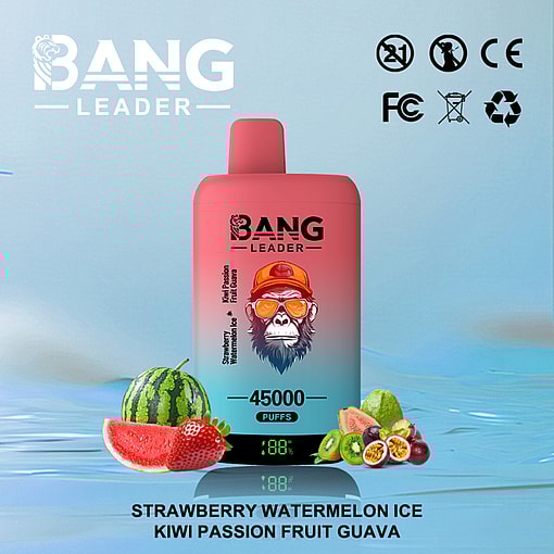 Bang Leader 45K Disposable Vape – 45,000 Puffs |18+18mL E-liquid | Type-C Recharge | Dual Flavors – Image 12
