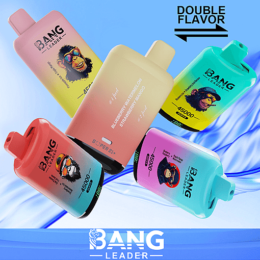 Bang Leader 45K Disposable Vape – 45,000 Puffs |18+18mL E-liquid | Type-C Recharge | Dual Flavors