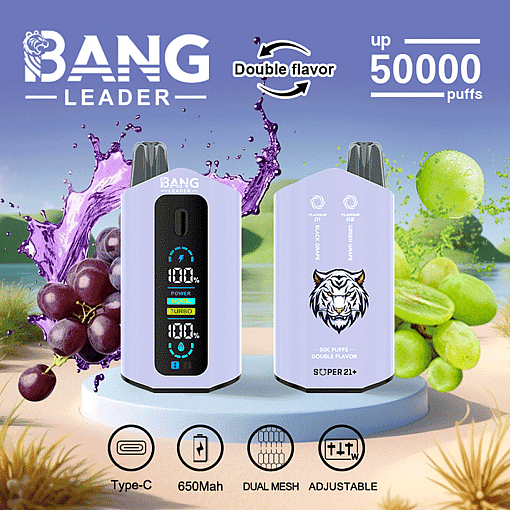 Bang Leader 50K Disposable Vape – 50,000 Puffs |  Dual Flavor | Type-C Rechargeable | LED Smart - Image 3