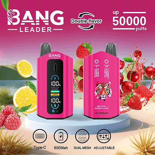 Bang Leader 50K Disposable Vape – 50,000 Puffs |  Dual Flavor | Type-C Rechargeable | LED Smart - Image 4