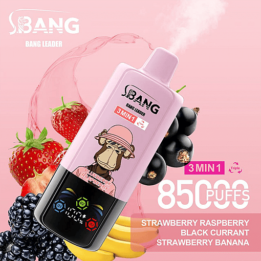Bang Leader 85K Disposable Vape | 3-in-1 Smart System | 3 Oil Tanks | 12 Flavors | 85,000 Puffs Mega Device - Image 14