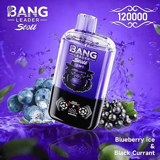 Bang Leader 120K Disposable Vape – 2-in-1 Magnetic Flavor Pods | 120,000 Puffs | Dual-Mesh Coil - Image 3