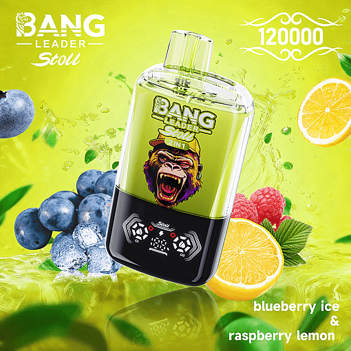 Bang Leader 120K Disposable Vape – 2-in-1 Magnetic Flavor Pods | 120,000 Puffs | Dual-Mesh Coil - Image 4