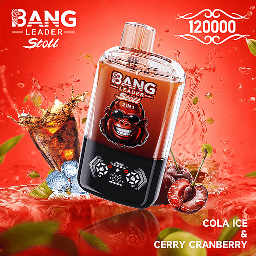 Bang Leader 120K Disposable Vape – 2-in-1 Magnetic Flavor Pods | 120,000 Puffs | Dual-Mesh Coil - Image 5