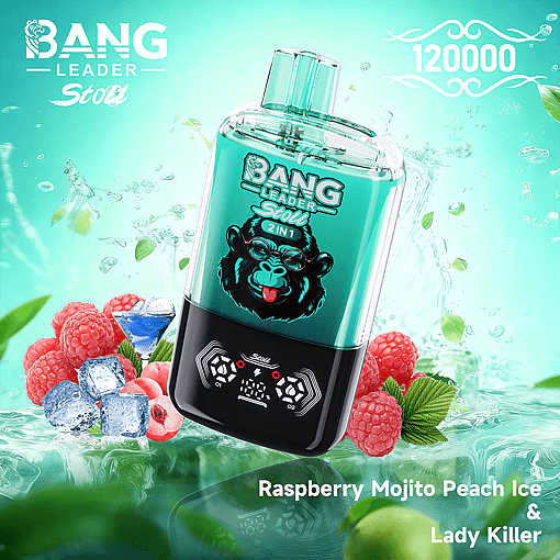 Bang Leader 120K Disposable Vape – 2-in-1 Magnetic Flavor Pods | 120,000 Puffs | Dual-Mesh Coil - Image 6