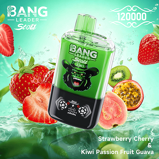 Bang Leader 120K Disposable Vape – 2-in-1 Magnetic Flavor Pods | 120,000 Puffs | Dual-Mesh Coil - Image 9