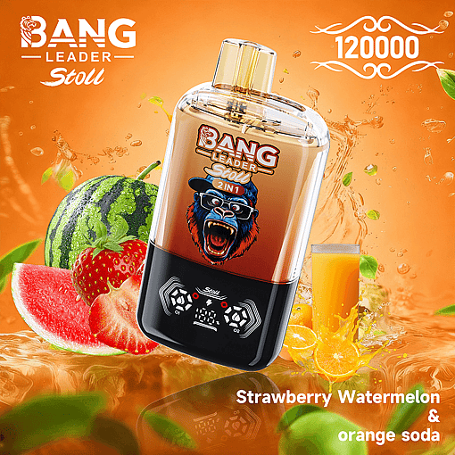 Bang Leader 120K Disposable Vape – 2-in-1 Magnetic Flavor Pods | 120,000 Puffs | Dual-Mesh Coil - Image 10