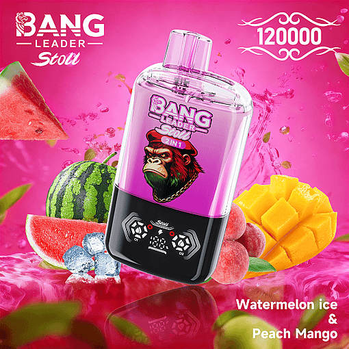 Bang Leader 120K Disposable Vape – 2-in-1 Magnetic Flavor Pods | 120,000 Puffs | Dual-Mesh Coil - Image 12