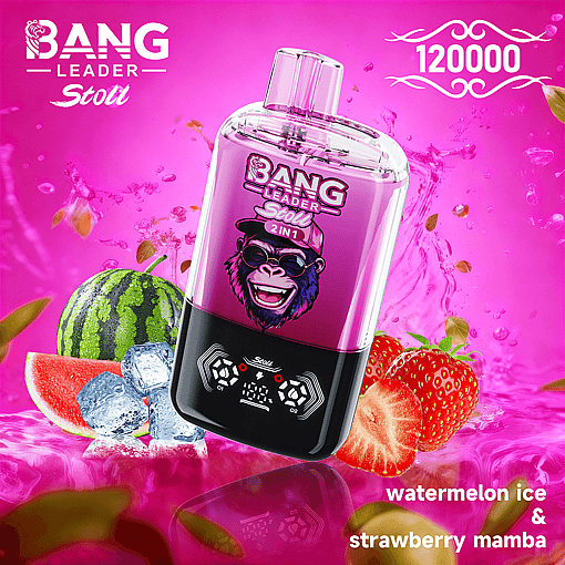 Bang Leader 120K Disposable Vape – 2-in-1 Magnetic Flavor Pods | 120,000 Puffs | Dual-Mesh Coil - Image 13