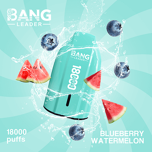 Bang Leader 18K Disposable Vape – 18000 Puffs | Single Flavor | Strong Clouds & Pure Taste - Image 3