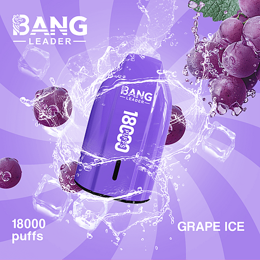 Bang Leader 18K Disposable Vape – 18000 Puffs | Single Flavor | Strong Clouds & Pure Taste - Image 5