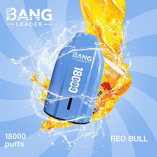 Bang Leader 18K Disposable Vape – 18000 Puffs | Single Flavor | Strong Clouds & Pure Taste - Image 10