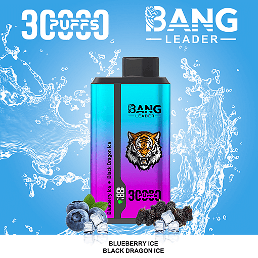 Bang Leader 30K Dual-Flavor Disposable Vape – 30,000 Puffs | Dual Taste System | Rechargeable Mesh Coil - Image 10