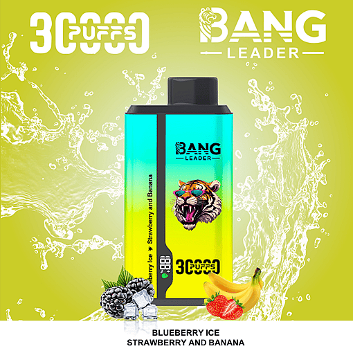 Bang Leader 30K Dual-Flavor Disposable Vape – 30,000 Puffs | Dual Taste System | Rechargeable Mesh Coil - Image 9