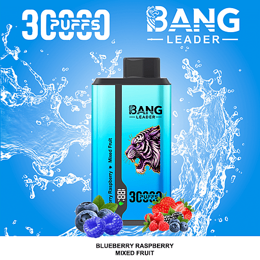 Bang Leader 30K Dual-Flavor Disposable Vape – 30,000 Puffs | Dual Taste System | Rechargeable Mesh Coil - Image 11