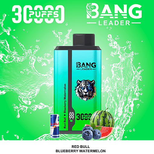 Bang Leader 30K Dual-Flavor Disposable Vape – 30,000 Puffs | Dual Taste System | Rechargeable Mesh Coil - Image 2