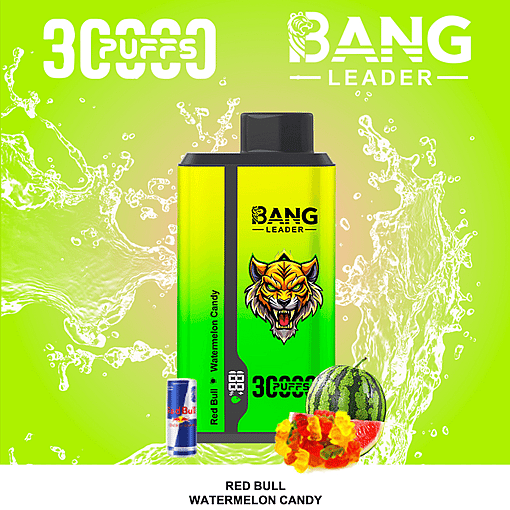 Bang Leader 30K Dual-Flavor Disposable Vape – 30,000 Puffs | Dual Taste System | Rechargeable Mesh Coil - Image 3