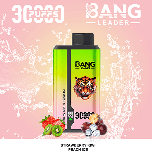 Bang Leader 30K Dual-Flavor Disposable Vape – 30,000 Puffs | Dual Taste System | Rechargeable Mesh Coil - Image 4