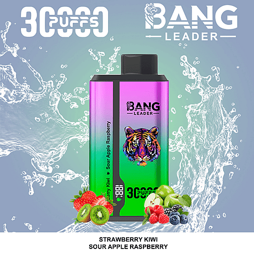 Bang Leader 30K Dual-Flavor Disposable Vape – 30,000 Puffs | Dual Taste System | Rechargeable Mesh Coil - Image 5