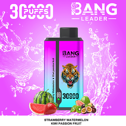 Bang Leader 30K Dual-Flavor Disposable Vape – 30,000 Puffs | Dual Taste System | Rechargeable Mesh Coil - Image 6