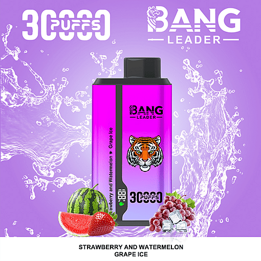 Bang Leader 30K Dual-Flavor Disposable Vape – 30,000 Puffs | Dual Taste System | Rechargeable Mesh Coil - Image 7