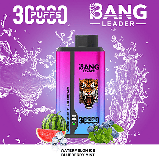 Bang Leader 30K Dual-Flavor Disposable Vape – 30,000 Puffs | Dual Taste System | Rechargeable Mesh Coil - Image 13