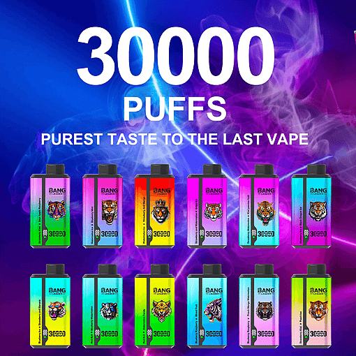 Bang Leader 30K Dual-Flavor Disposable Vape – 30,000 Puffs | Dual Taste System | Rechargeable Mesh Coil