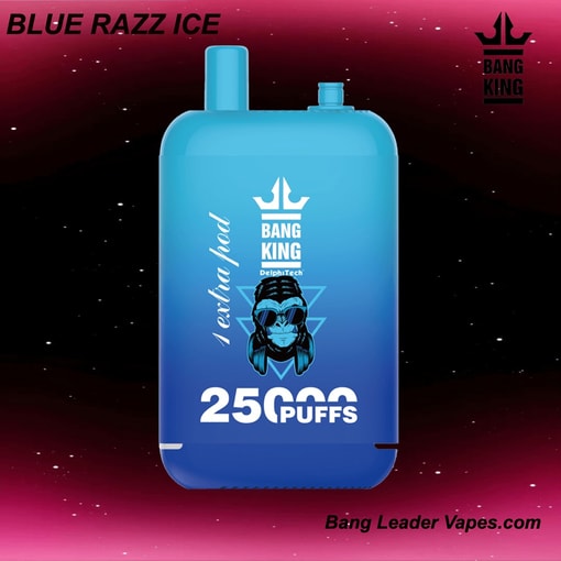 Bang King 25K Disposable Vape | 25,000 Puffs | 12 Flavors | 23+23 mL E‑liquid | 500 mAh Rechargeable Battery | Type‑C Charging - Image 2