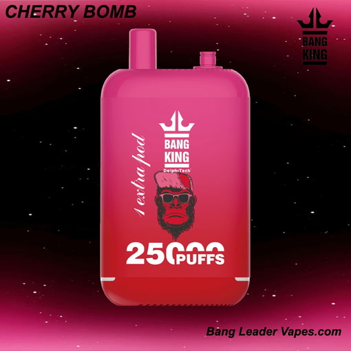 Bang King 25K Disposable Vape | 25,000 Puffs | 12 Flavors | 23+23 mL E‑liquid | 500 mAh Rechargeable Battery | Type‑C Charging - Image 3
