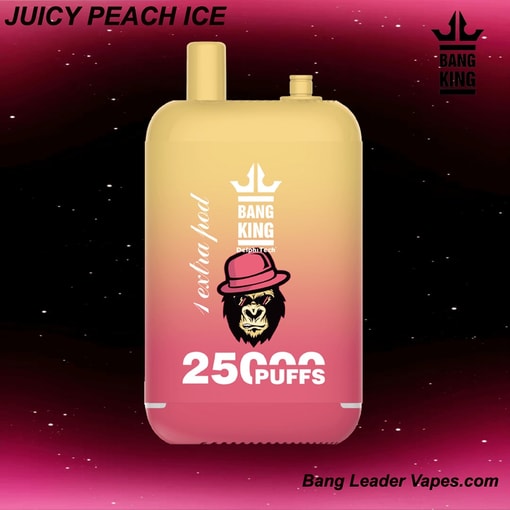 Bang King 25K Disposable Vape | 25,000 Puffs | 12 Flavors | 23+23 mL E‑liquid | 500 mAh Rechargeable Battery | Type‑C Charging - Image 5