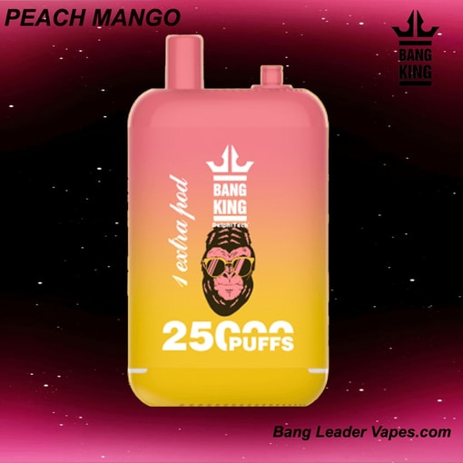 Bang King 25K Disposable Vape | 25,000 Puffs | 12 Flavors | 23+23 mL E‑liquid | 500 mAh Rechargeable Battery | Type‑C Charging - Image 6