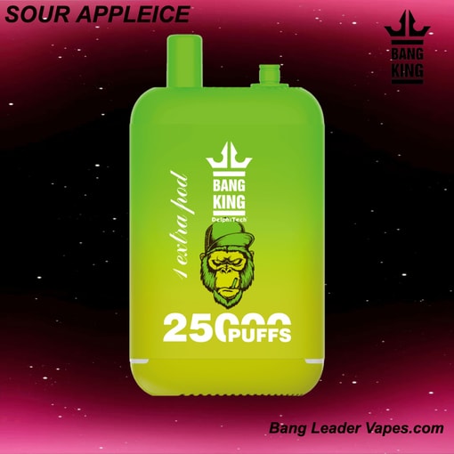 Bang King 25K Disposable Vape | 25,000 Puffs | 12 Flavors | 23+23 mL E‑liquid | 500 mAh Rechargeable Battery | Type‑C Charging - Image 7