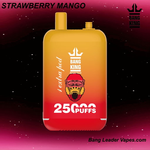 Bang King 25K Disposable Vape | 25,000 Puffs | 12 Flavors | 23+23 mL E‑liquid | 500 mAh Rechargeable Battery | Type‑C Charging - Image 9