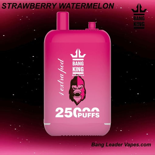 Bang King 25K Disposable Vape | 25,000 Puffs | 12 Flavors | 23+23 mL E‑liquid | 500 mAh Rechargeable Battery | Type‑C Charging - Image 10
