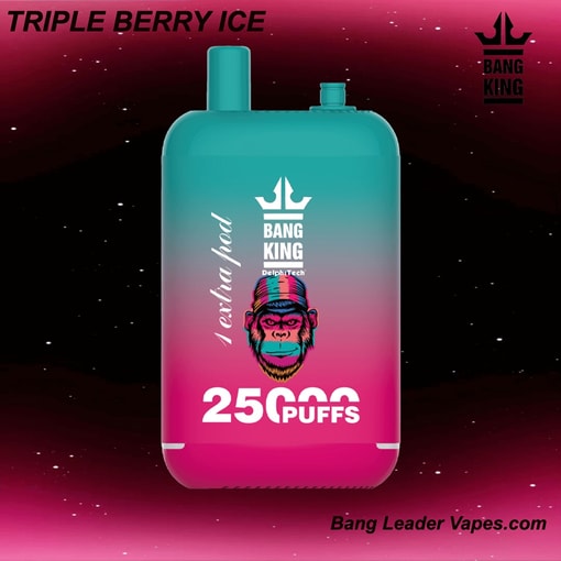 Bang King 25K Disposable Vape | 25,000 Puffs | 12 Flavors | 23+23 mL E‑liquid | 500 mAh Rechargeable Battery | Type‑C Charging - Image 11