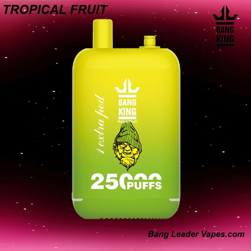 Bang King 25K Disposable Vape | 25,000 Puffs | 12 Flavors | 23+23 mL E‑liquid | 500 mAh Rechargeable Battery | Type‑C Charging - Image 12