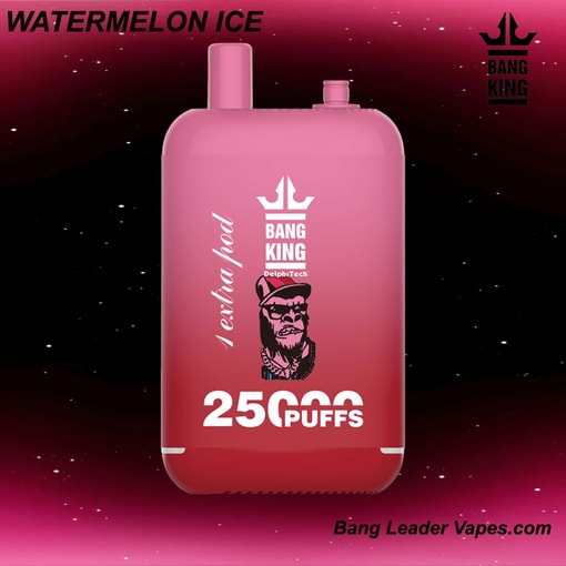 Bang King 25K Disposable Vape | 25,000 Puffs | 12 Flavors | 23+23 mL E‑liquid | 500 mAh Rechargeable Battery | Type‑C Charging - Image 13