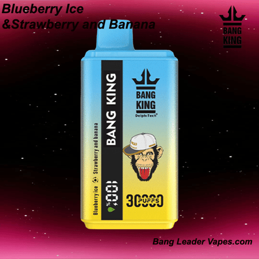 Bang King 30K Disposable Vape | 30,000 Puffs | 600 mAh Rechargeable | Type‑C Fast Charging | 12 Flavors - Image 3