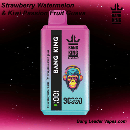 Bang King 30K Disposable Vape | 30,000 Puffs | 600 mAh Rechargeable | Type‑C Fast Charging | 12 Flavors - Image 11