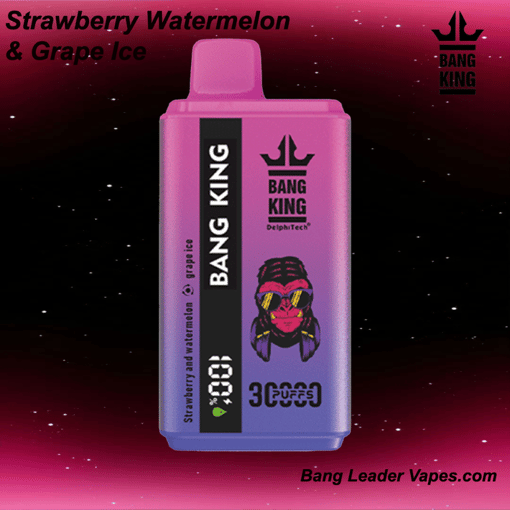 Bang King 30K Disposable Vape | 30,000 Puffs | 600 mAh Rechargeable | Type‑C Fast Charging | 12 Flavors - Image 8