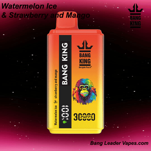 Bang King 30K Disposable Vape | 30,000 Puffs | 600 mAh Rechargeable | Type‑C Fast Charging | 12 Flavors - Image 13