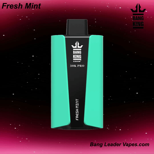 Bang King 30 K Pro Disposable Vape | 30,000 Puffs | 36 mL E‑Liquid | 850 mAh Rechargeable | Mesh Coil | USB‑C Charging | 12 Flavor Variants - Image 13