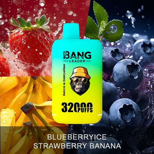 Bang Leader 32K Disposable Vape – 32,000 Puffs | Dual Mode | 28+28mL E-liquid | Type-C - Bild 11