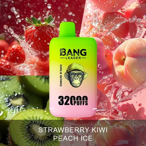 Bang Leader 32K Disposable Vape – 32,000 Puffs | Dual Mode | 28+28mL E-liquid | Type-C - Bild 5