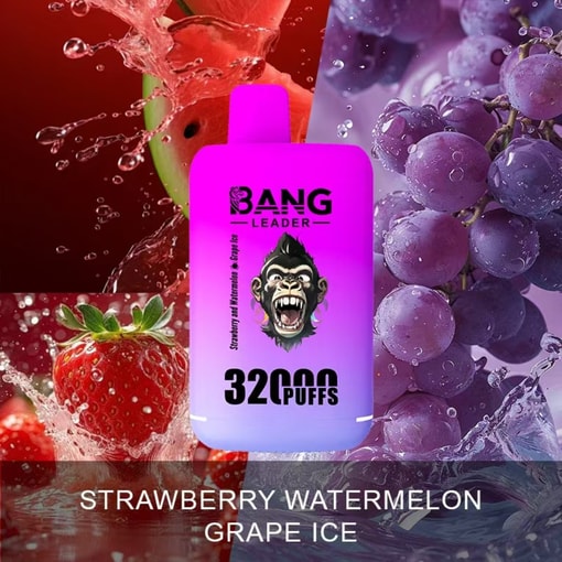 Bang Leader 32K Disposable Vape – 32,000 Puffs | Dual Mode | 28+28mL E-liquid | Type-C - Bild 7