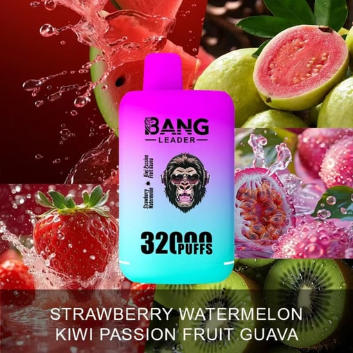 Bang Leader 32K Disposable Vape – 32,000 Puffs | Dual Mode | 28+28mL E-liquid | Type-C - Bild 6