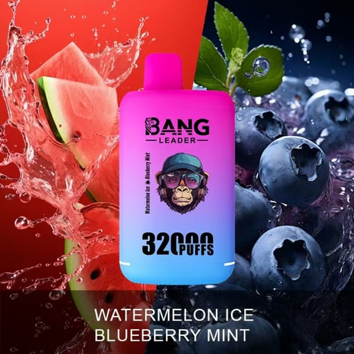 Bang Leader 32K Disposable Vape – 32,000 Puffs | Dual Mode | 28+28mL E-liquid | Type-C - Bild 8
