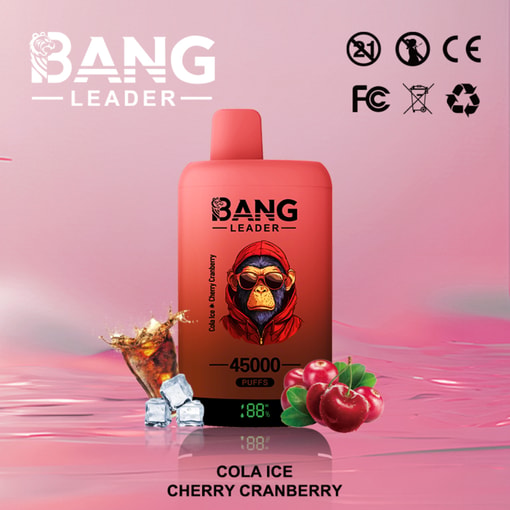 Bang Leader 45K Disposable Vape – 45,000 Puffs |18+18mL E-liquid | Type-C Recharge | Dual Flavors - 画像 6