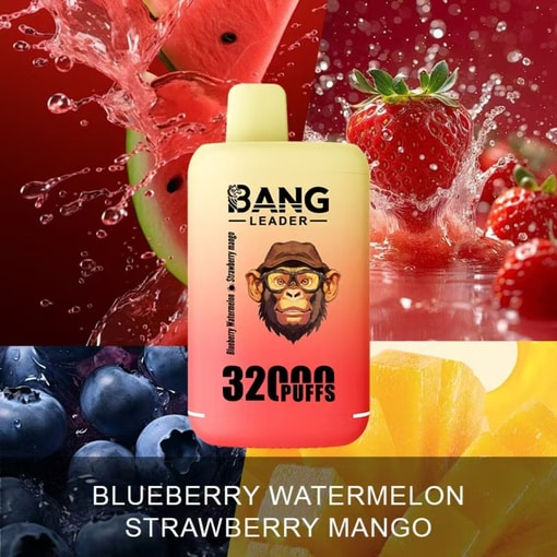 Bang Leader 32K Disposable Vape – 32,000 Puffs | Dual Mode | 28+28mL E-liquid | Type-C - Bild 10