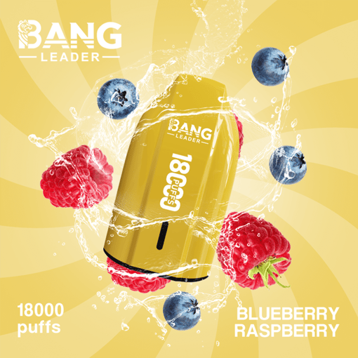 Bang Leader 18K Disposable Vape – 18000 Puffs | Single Flavor | Strong Clouds & Pure Taste - Bild 2